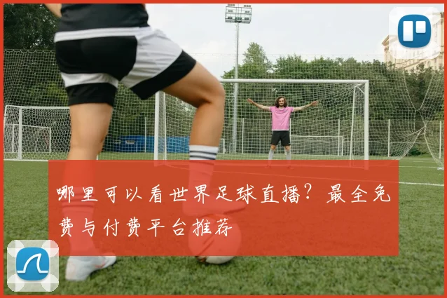 哪里可以看世界足球直播？最全免费与付费平台推荐