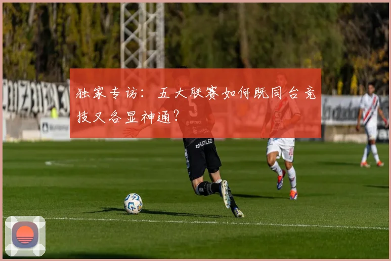 独家专访：五大联赛如何既同台竞技又各显神通？