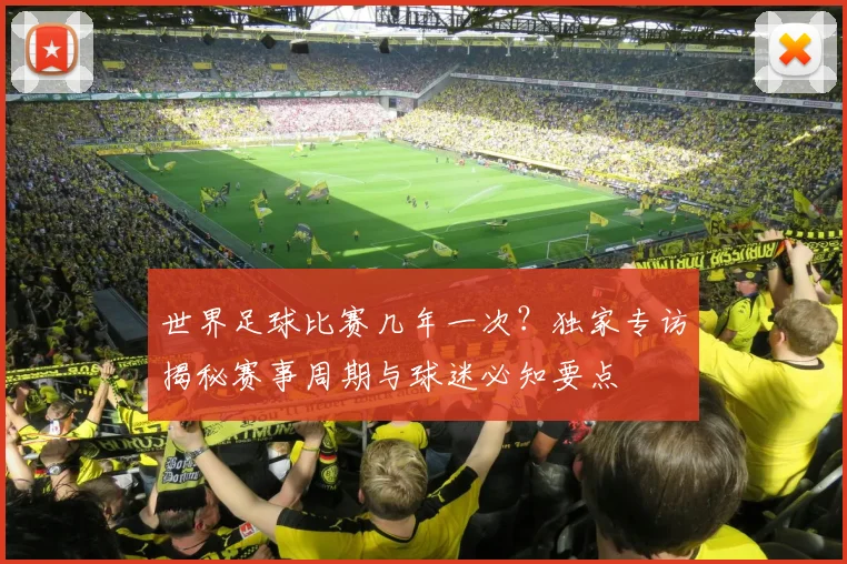 世界足球比赛几年一次?独家专访揭秘赛事周期与球迷必知要点