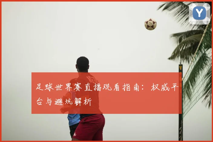 足球世界赛直播观看指南：权威平台与避坑解析